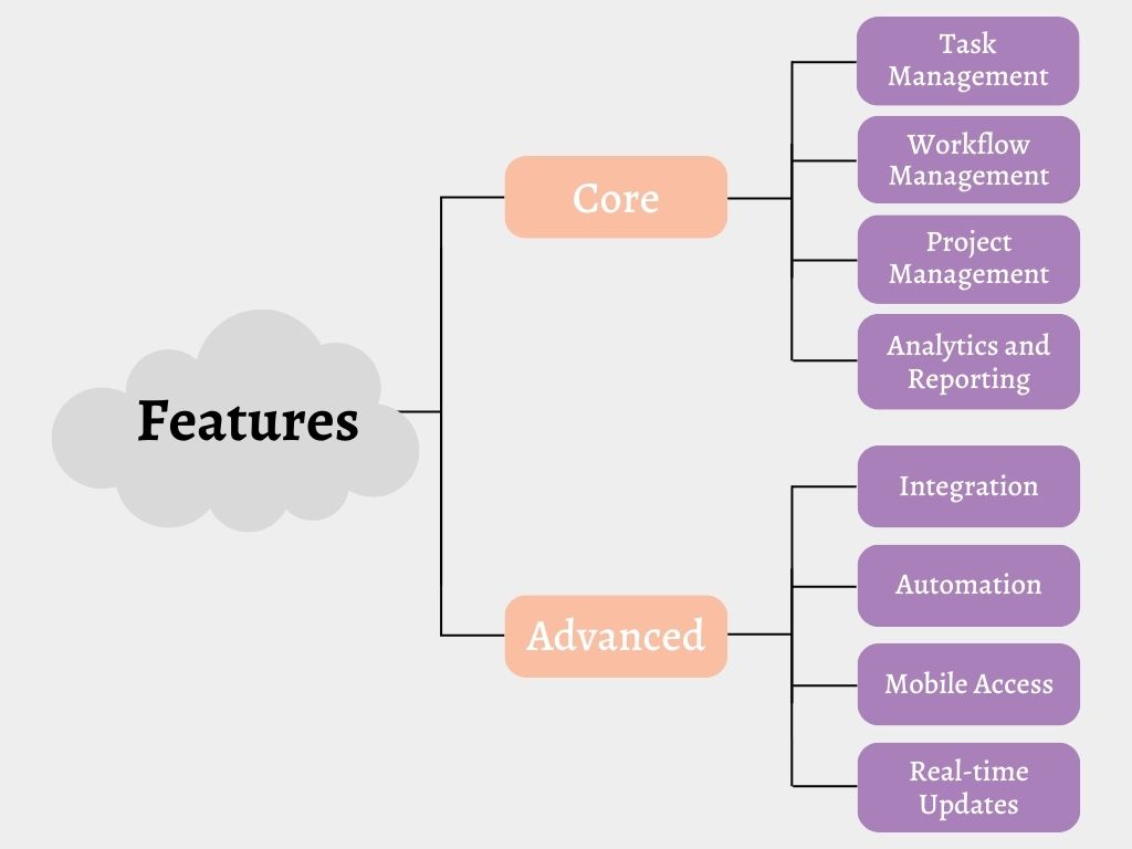 Custom Operation Management Software