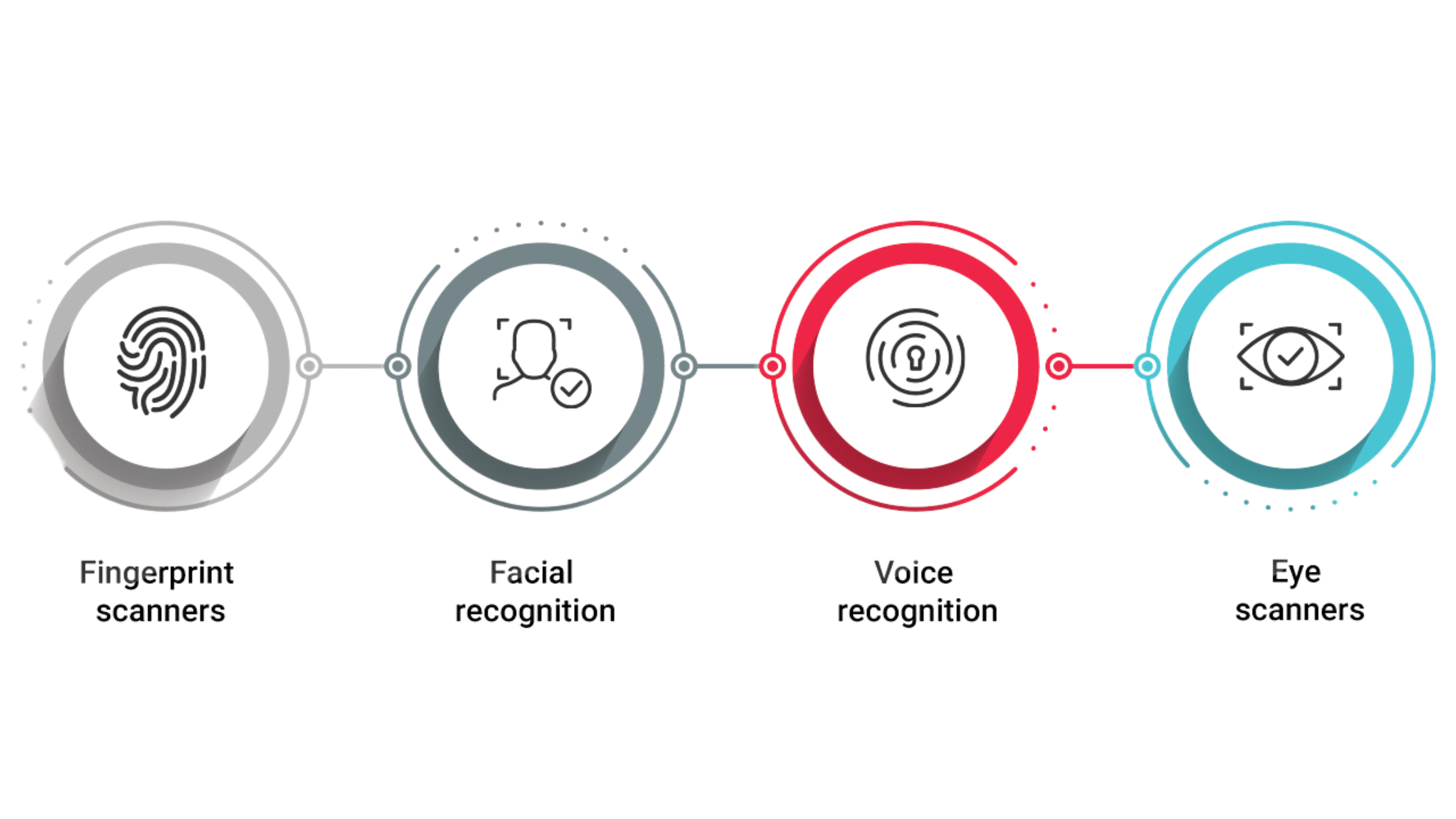 Biometric Authentication